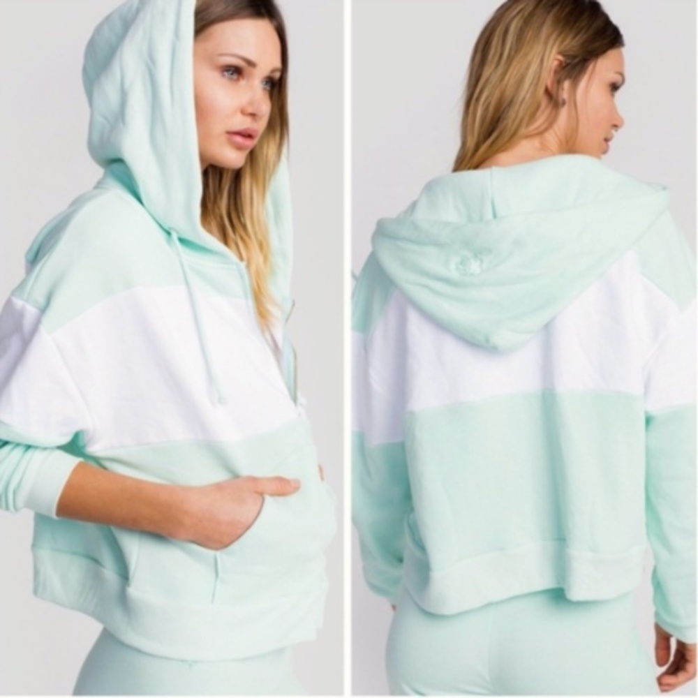 Wildfox | Marquis Colorblock Iced Mint Hoodie